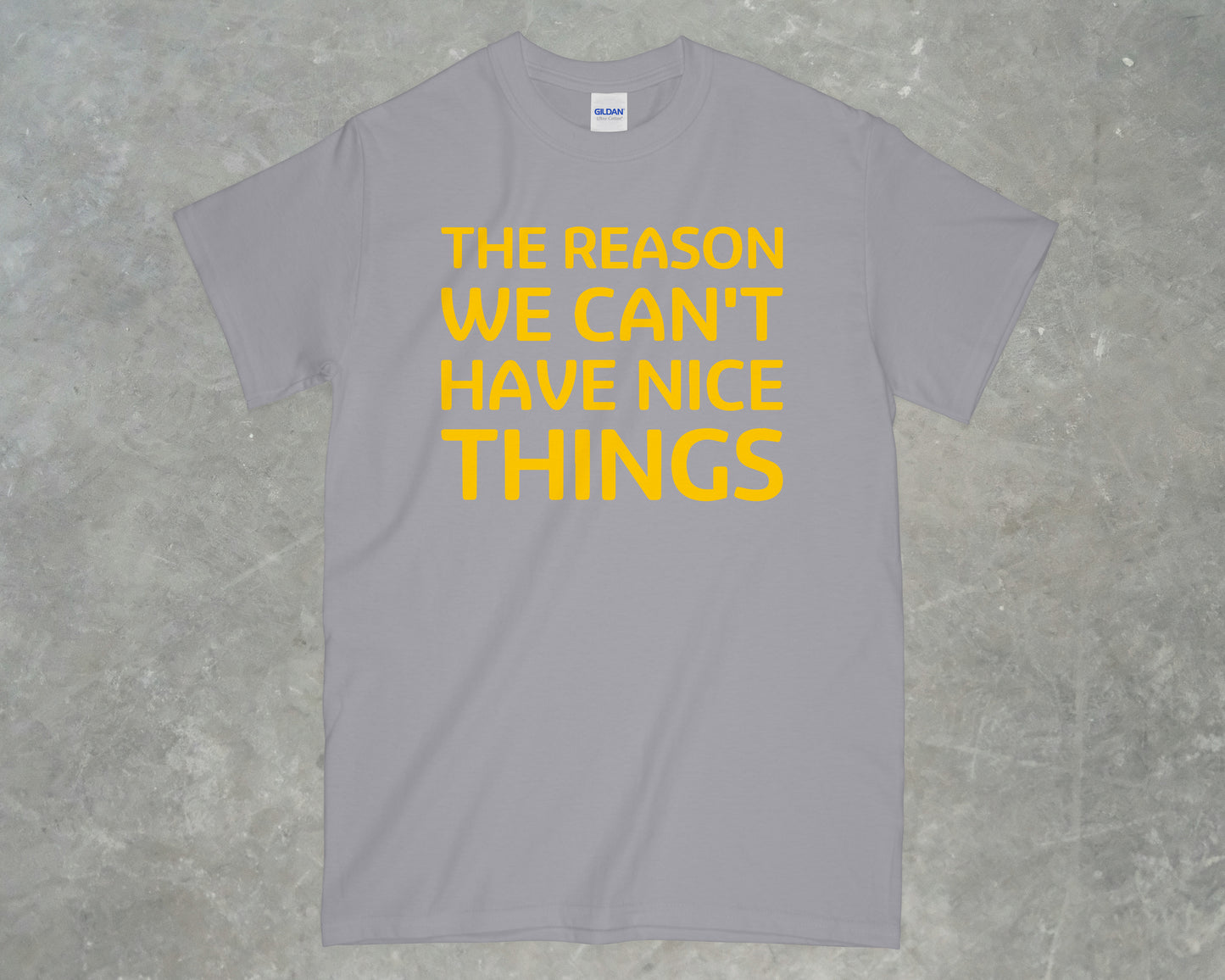 The Reason We Can't Have Nice Things Shirt