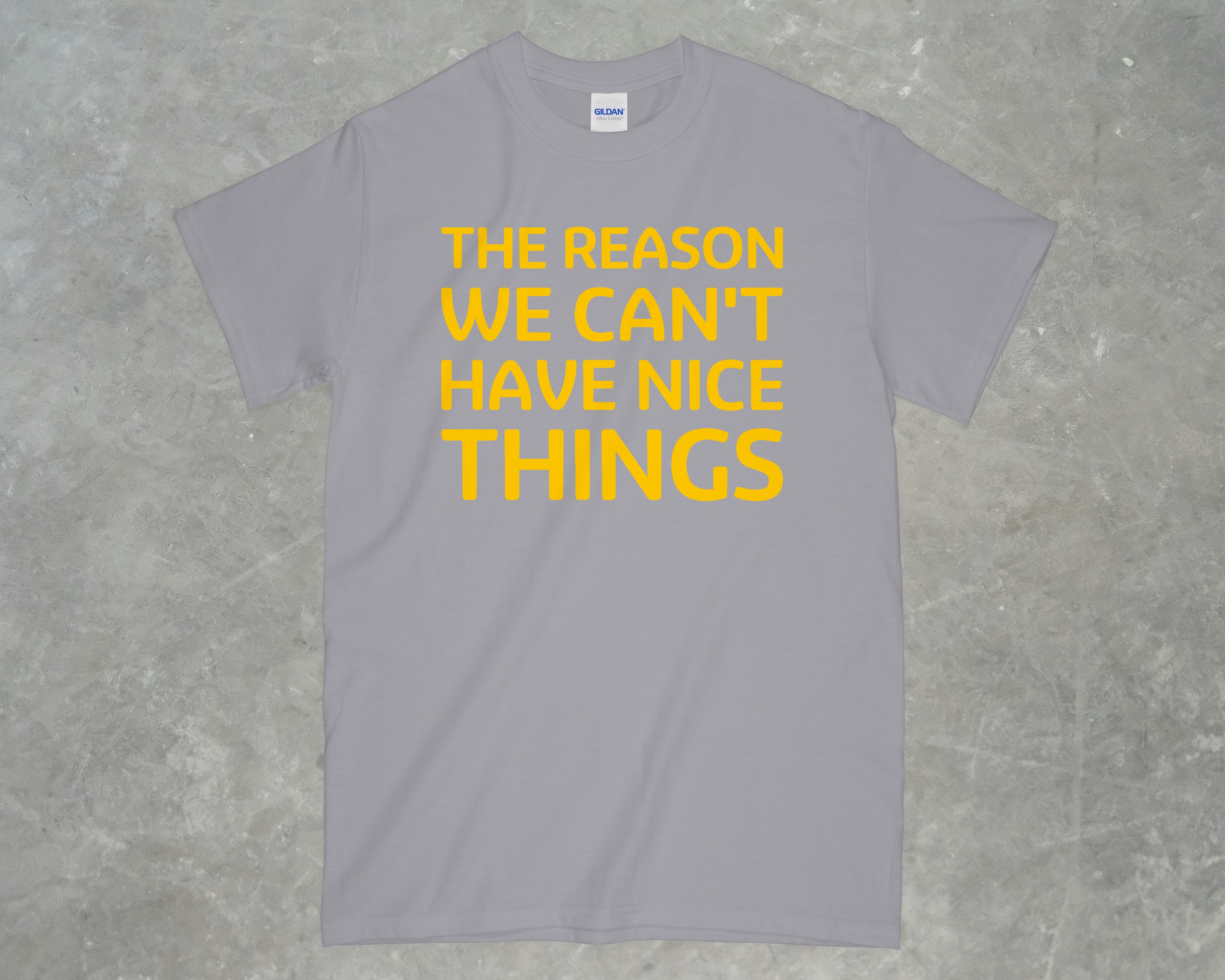 The Reason We Can't Have Nice Things Shirt