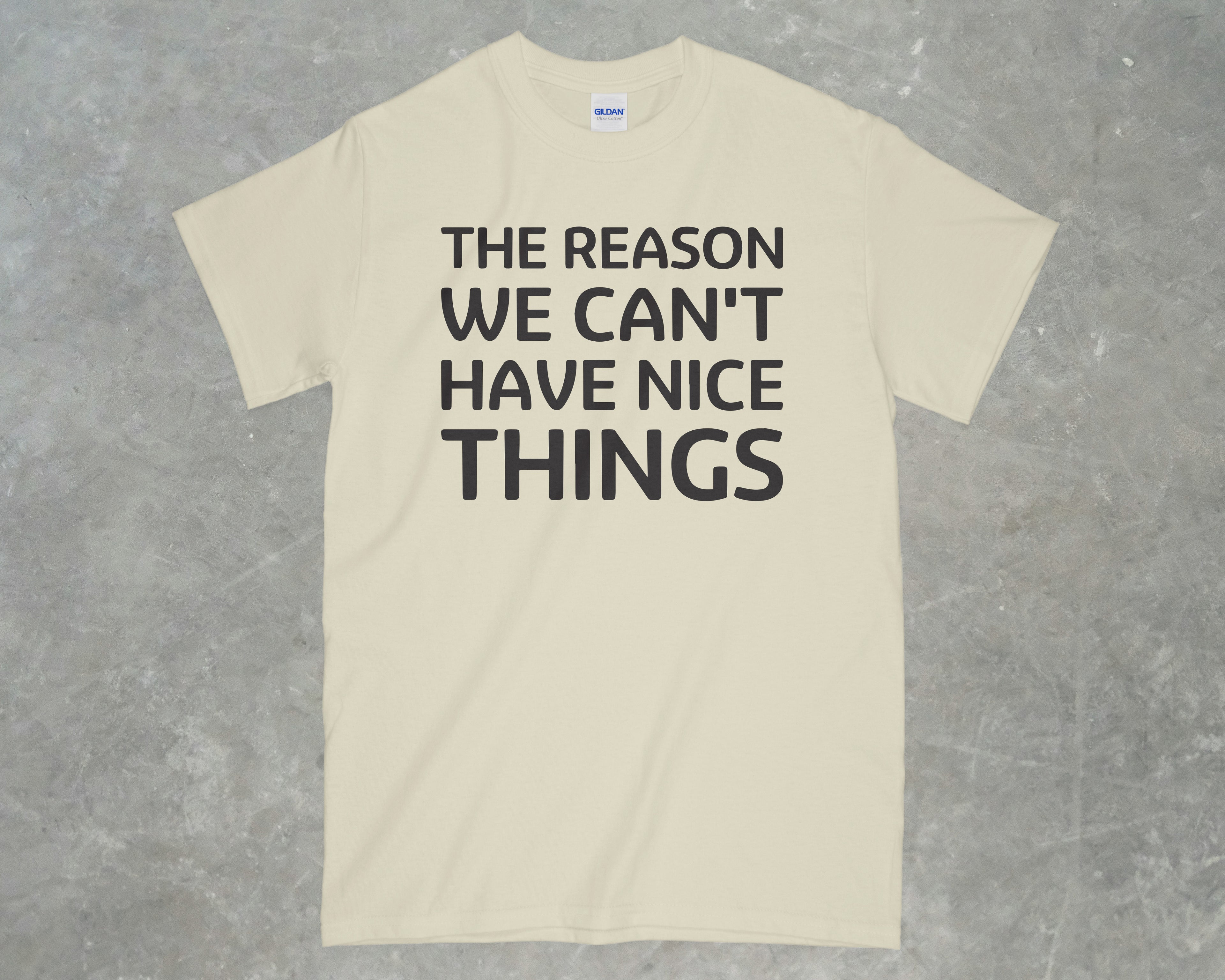 The Reason We Can't Have Nice Things Shirt