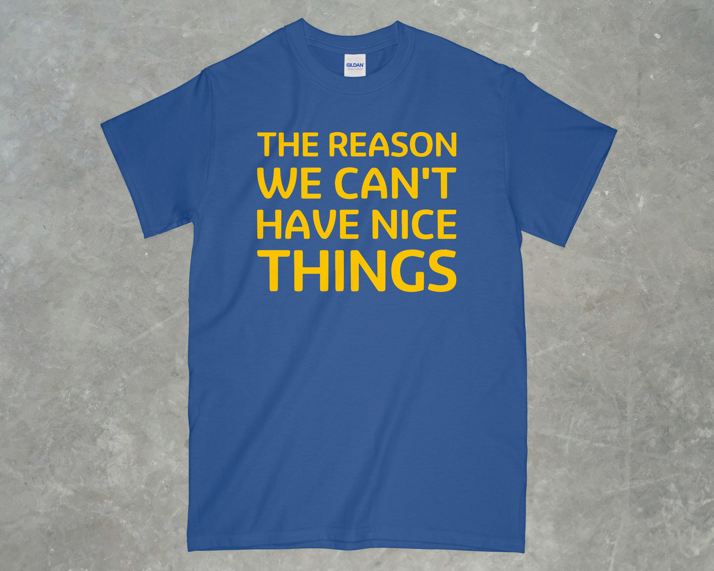 The Reason We Can't Have Nice Things Shirt