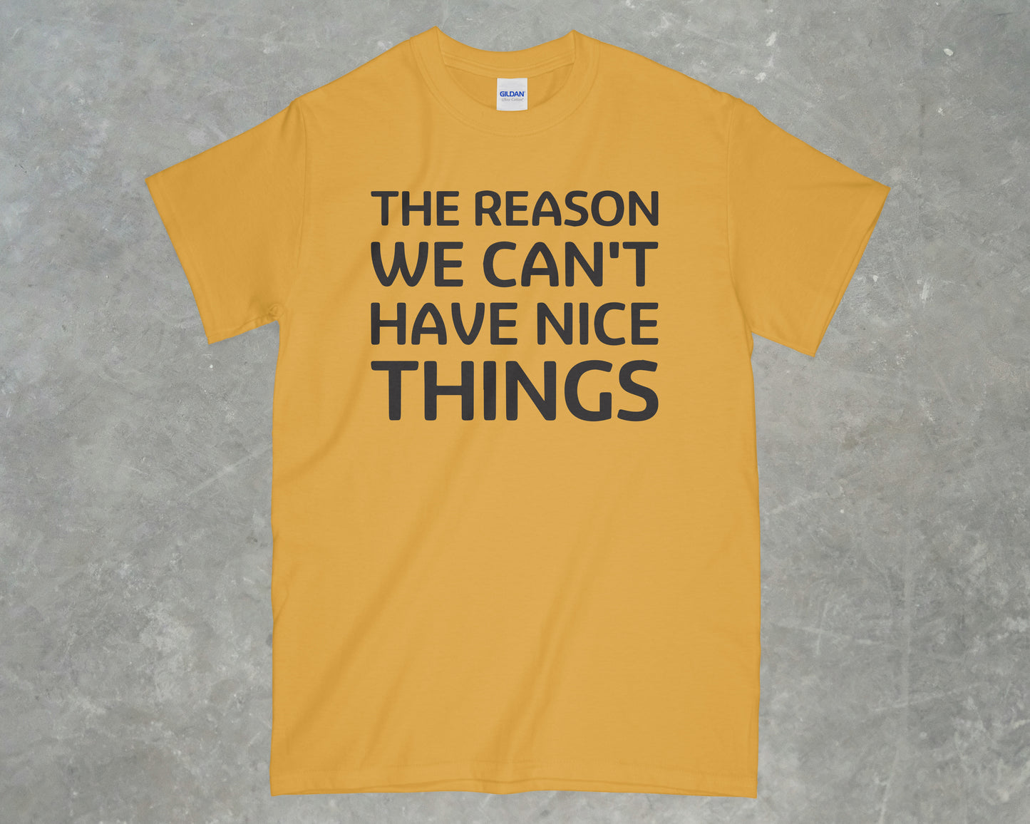 The Reason We Can't Have Nice Things Shirt