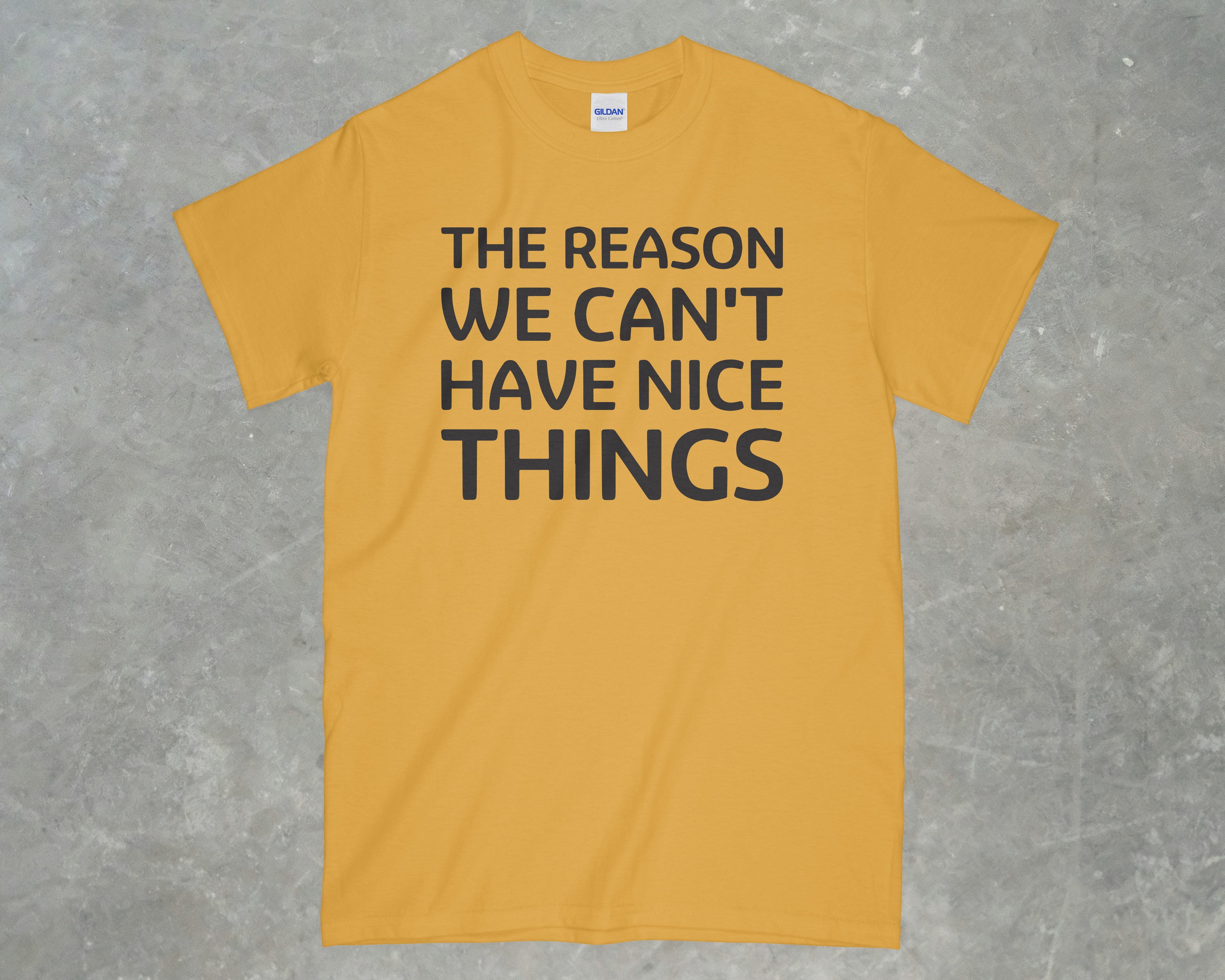 The Reason We Can't Have Nice Things Shirt