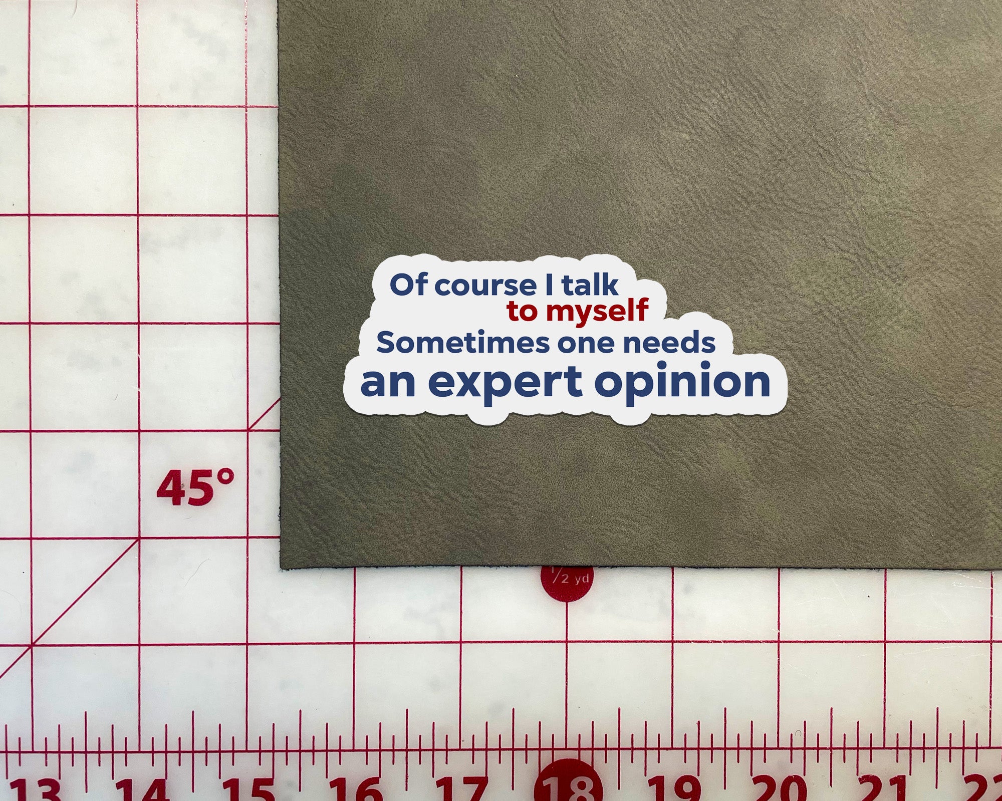 Of Course I Talk to Myself, Sometimes I need an Expert Opinion Sticker ...