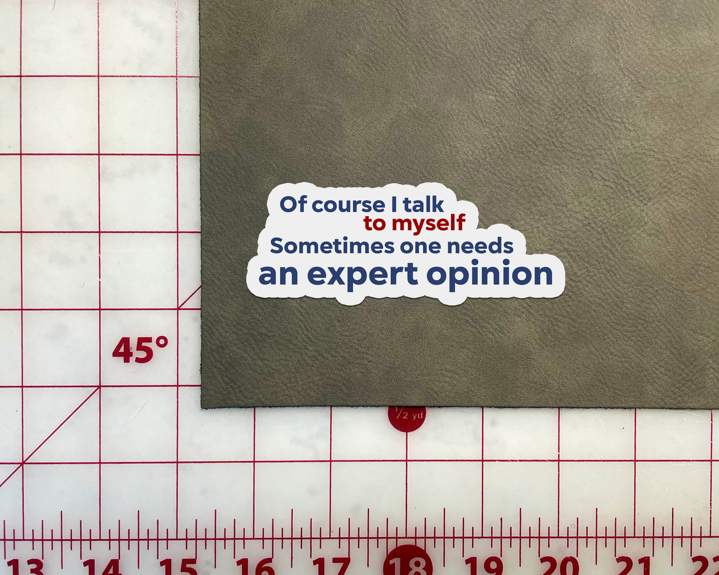 Of Course I Talk to Myself, Sometimes I need an Expert Opinion Sticker