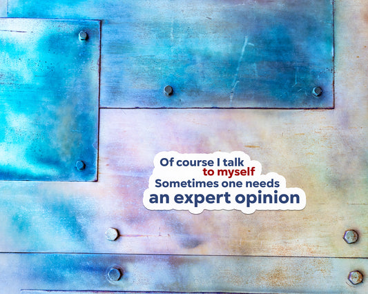 Of Course I Talk to Myself, Sometimes I need an Expert Opinion Magnet